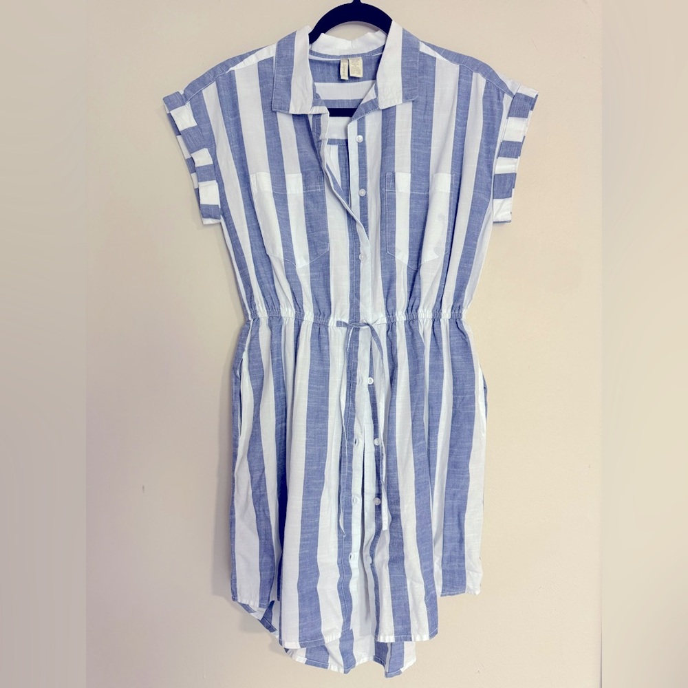 Blue and White Striped Button-Up Dress